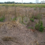 Lote no Jardim do Bosque, aceita financiamento ou aquisição de terreno e construção