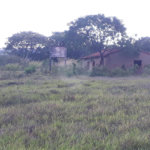 Fazenda com pasto a venda em Morungaba