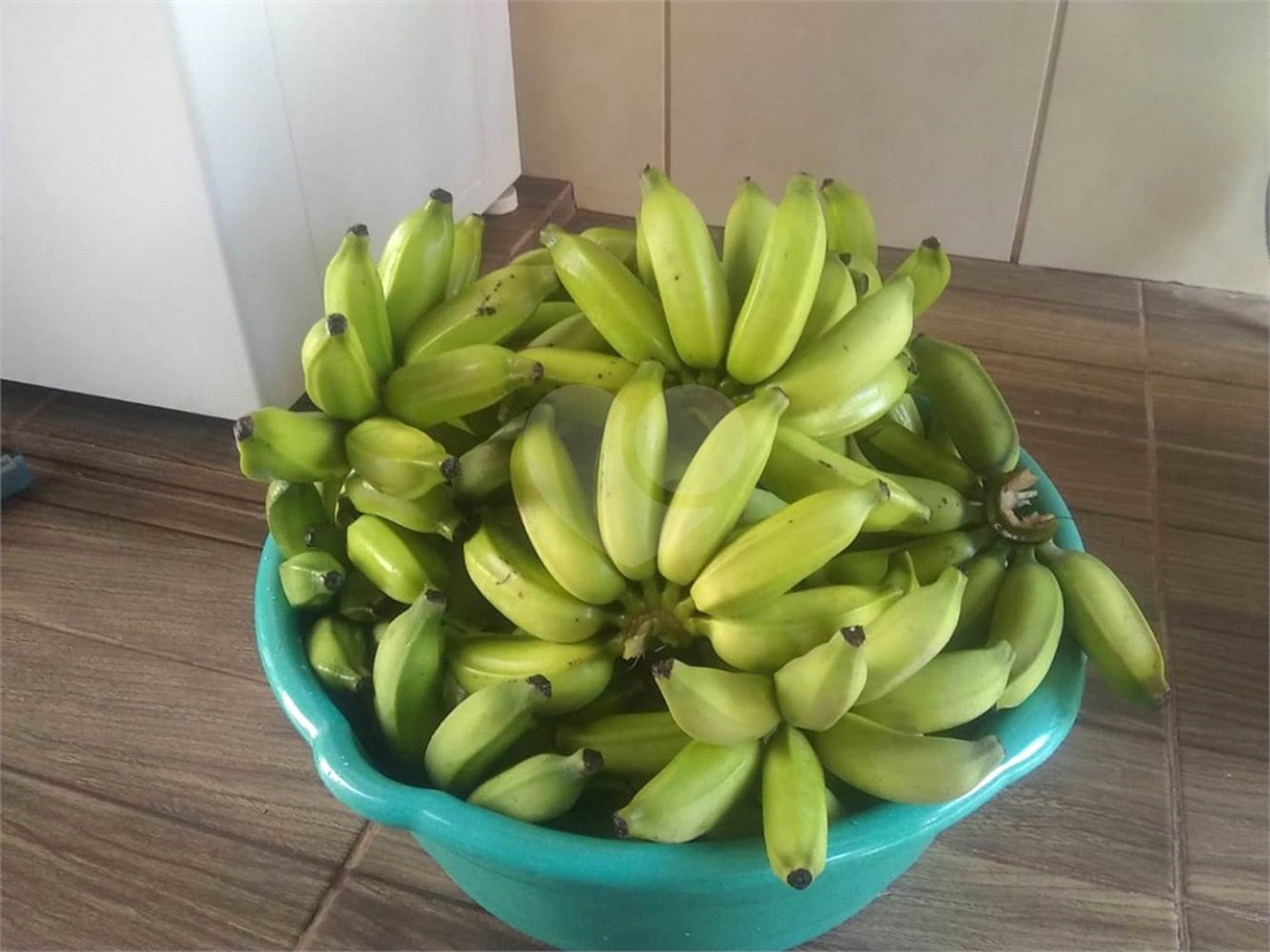 Chácara em Araraquara/SP.