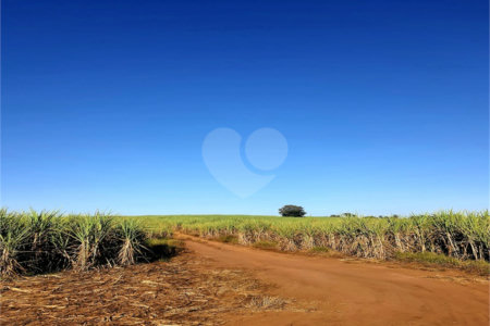 Fazenda em Ribeirão Bonito