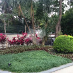 Lindo apartamento reformado!!! Apto a venda 3 dormitórios 1 suite e 2 vagas - Vila Nova Conceição