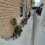 Apartamento Garden na Mooca com 322m² com 4 dormitórios 5 vagas Estuda Permuta