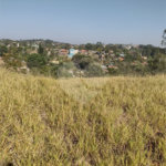 Terreno no Bairro Monterrey