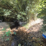 Sítio à venda com 7 alqueires, em Serra do Capetinga, Itapeva - MG