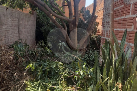 Terreno à venda no Jardim Pacaembu, São Carlos - SP,