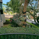 Jardim Prudência, 2 dormitórios , condomínio agradável e familiar