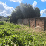 Terreno no Jardim Ricetti São Carlos - SP