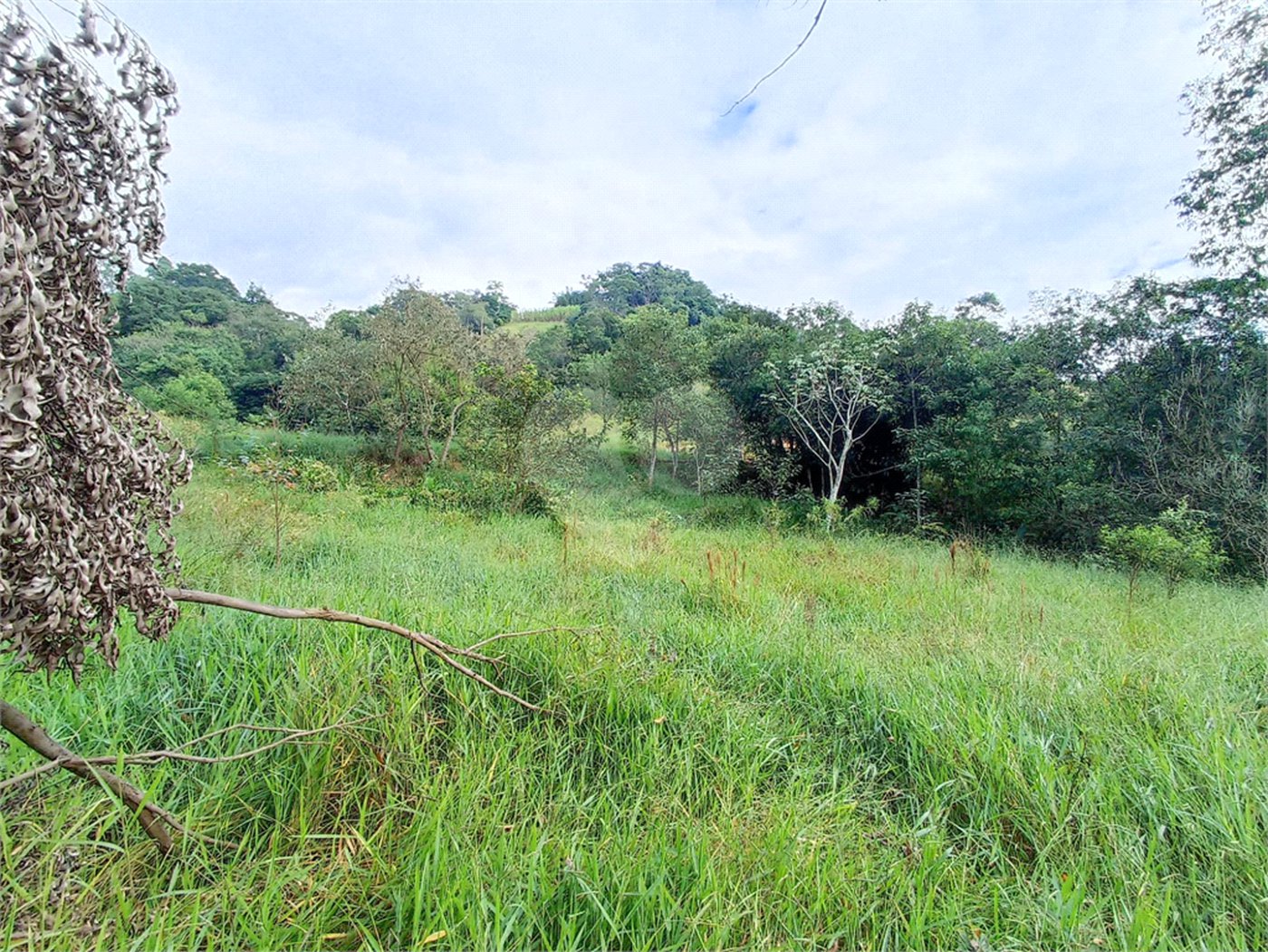 Terreno à venda em Residencial Reserva da Mata, Itapetininga, SP