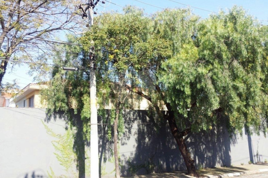 Casa à venda com 1 quarto em Indianópolis, São Paulo, SP