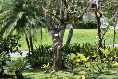 Casa a venda ou locação no Tamboré 1