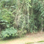 Terreno à venda no condomínio Alpes da Cantareira, Mairiporã - SP