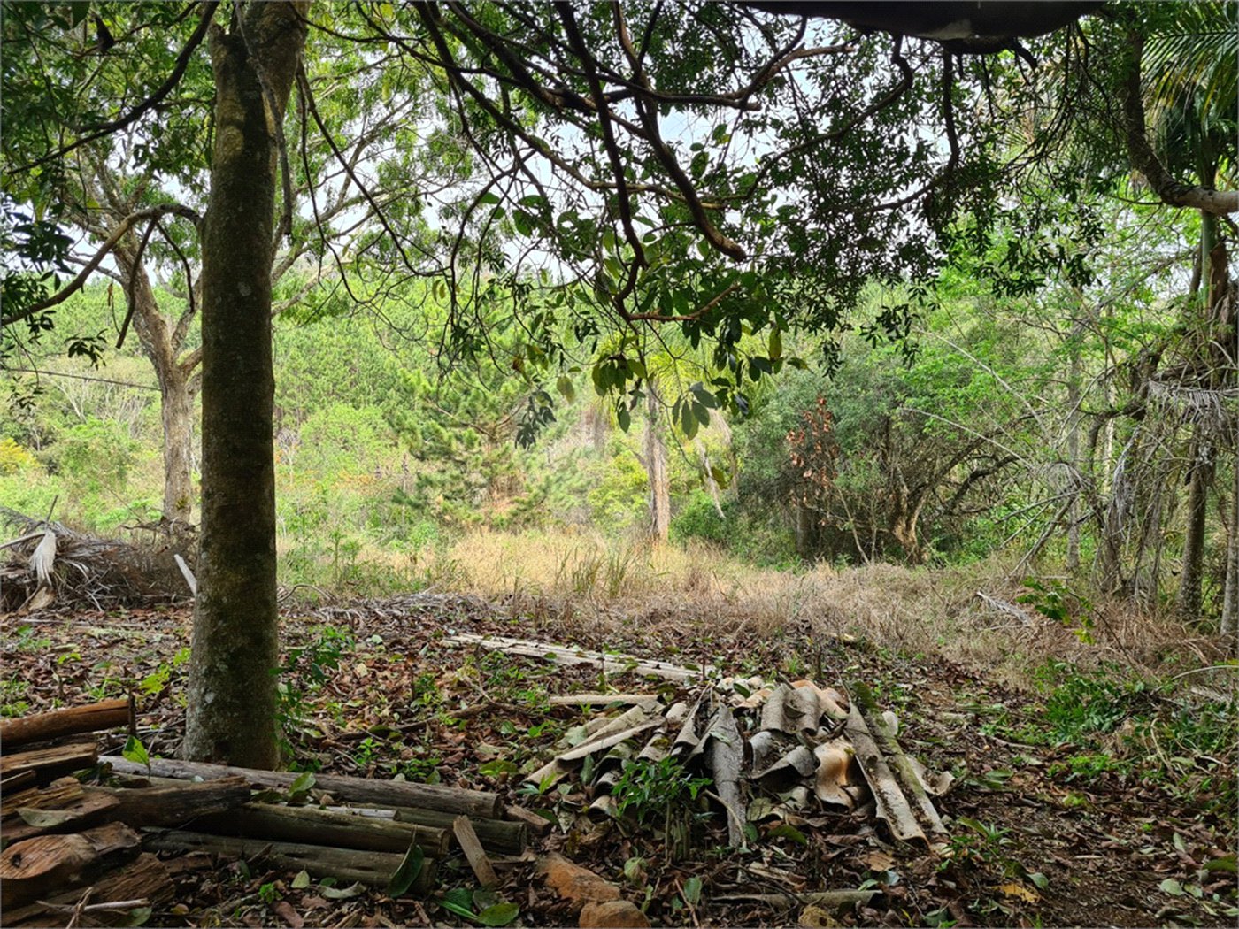 Ribeirão Grande - Bairro ferreira dos Matos - Sítio de 30.000 metros - R$ 600.000,00