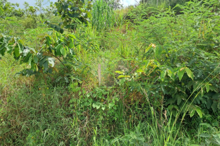 Terreno à venda em Jardim Estância Brasil, Atibaia, SP