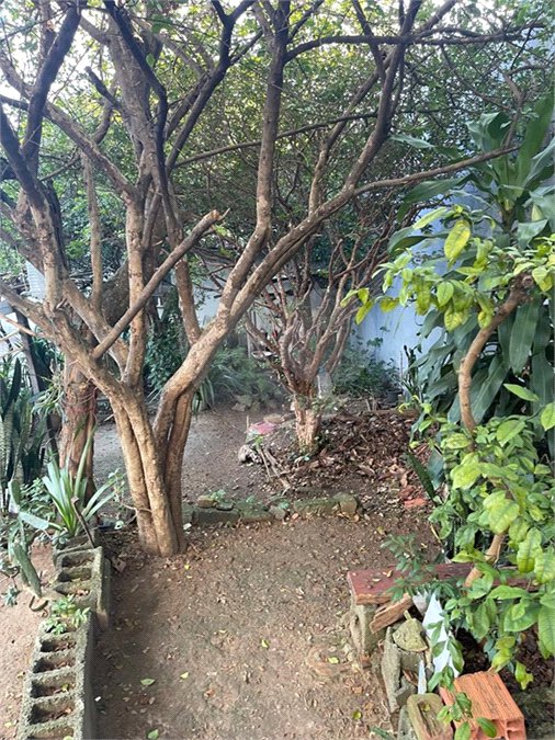 Terreno à venda em Tucuruvi, São Paulo, SP