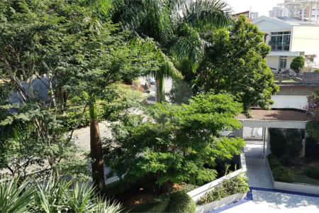 Apartamento à venda com 3 quartos, sendo 1 suíte, em Vila Paulicéia, São Paulo, SP