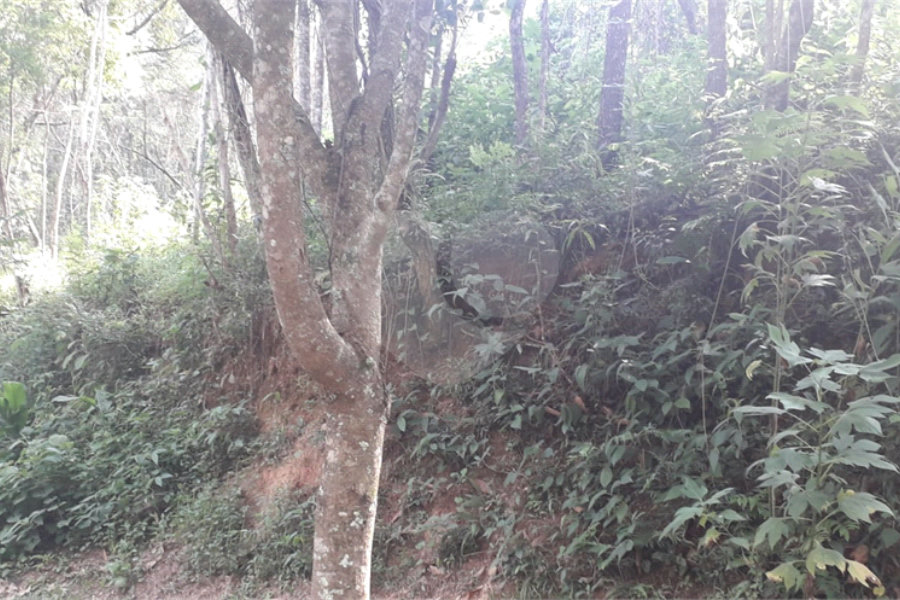 Terreno à venda no condomínio Alpes de Mairiporã, Mairiporã - SP