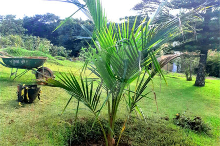 Terreno à venda no condomínio Village de Atibaia, Atibaia - SP