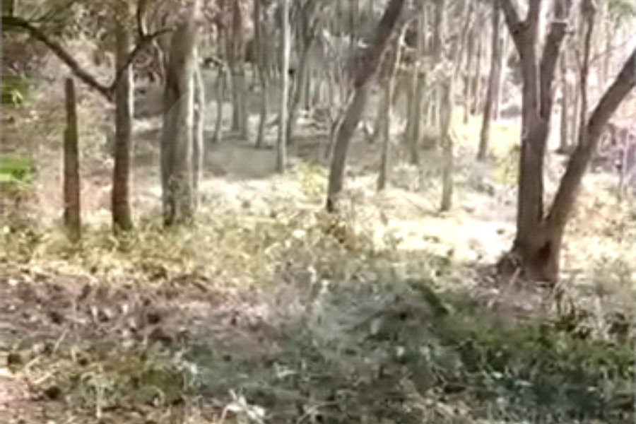 Terreno à venda em Luiz Fagundes, Mairiporã, SP