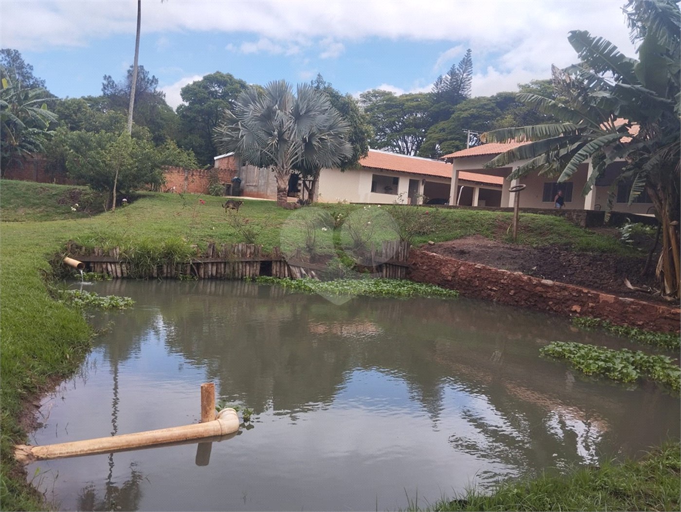 Chácara à venda com 3 quartos, sendo 1 suíte, em Chácara Flora Araraquara, Araraquara, SP