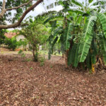 Chácara à venda com 2 quartos em Jardim Califórnia, Araraquara, SP