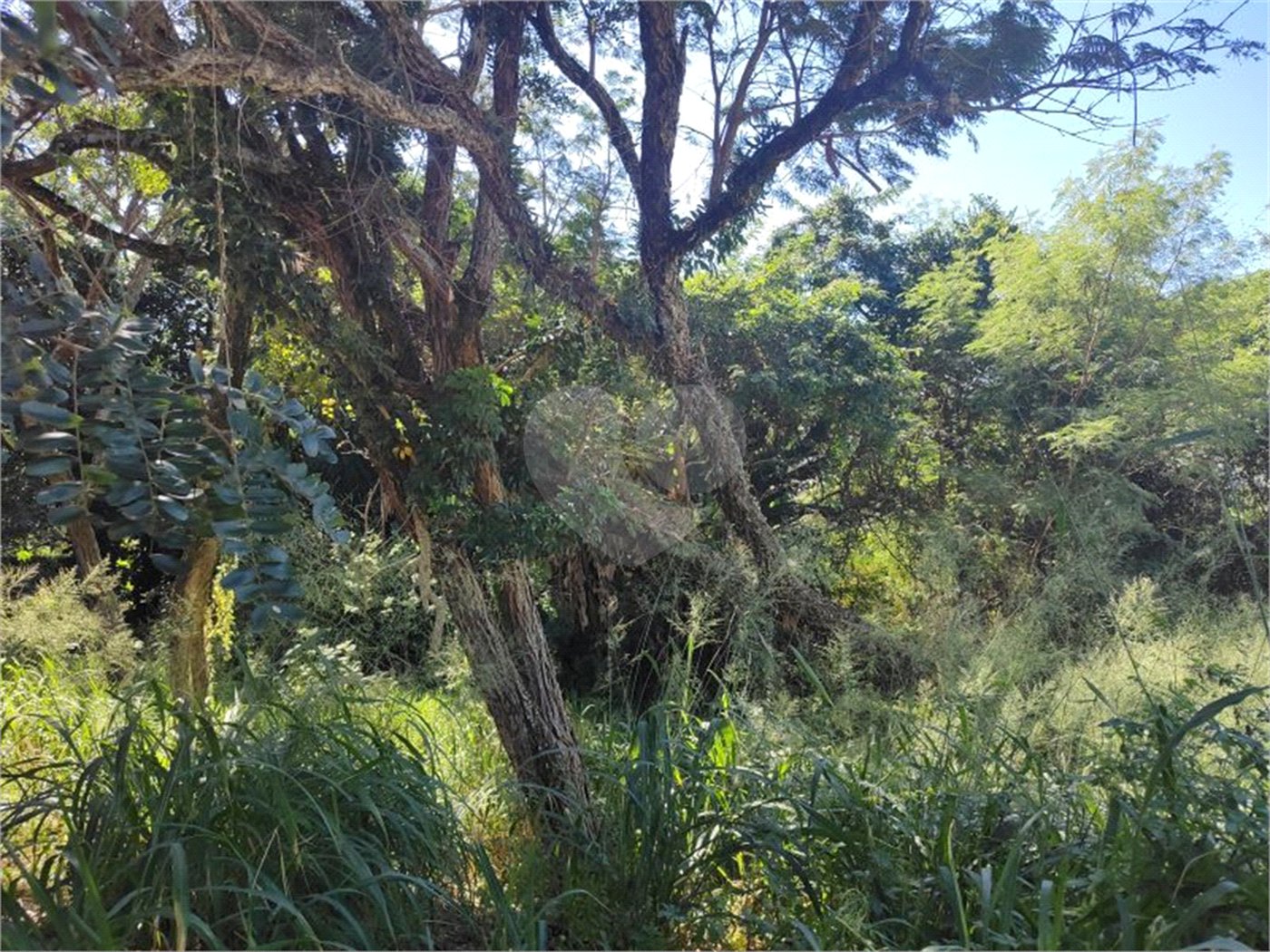 Terreno à venda em Jardim Paulista, Atibaia, SP