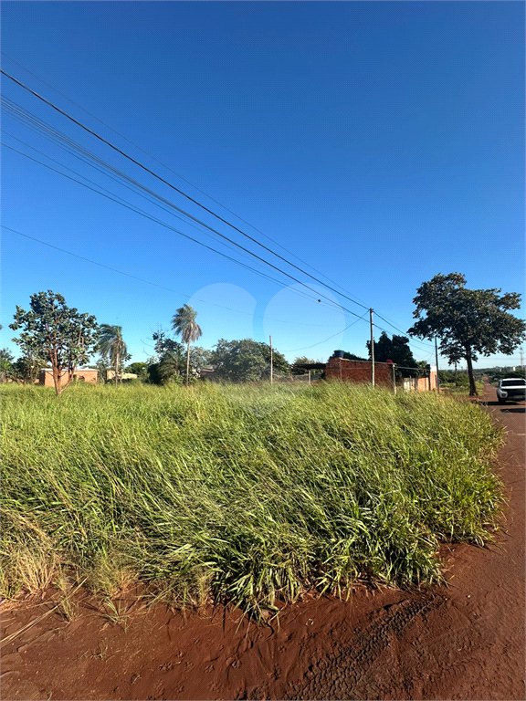 Terreno à venda em Pedro Juan Caballero, Amambay