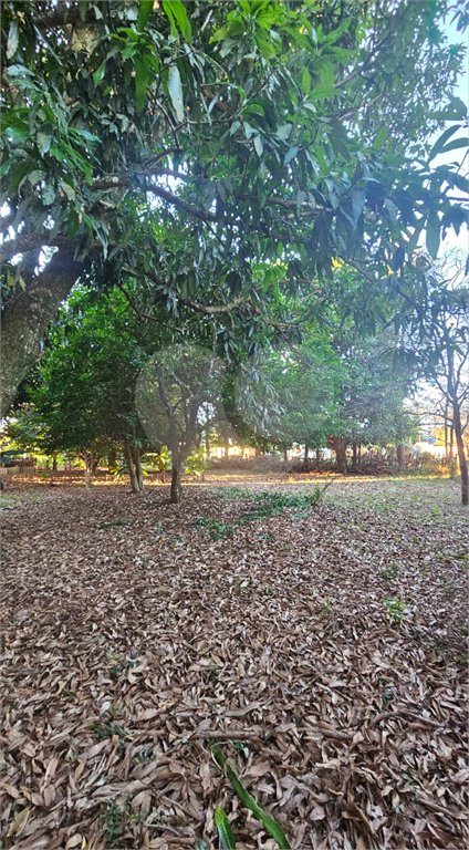 Terreno à venda em Jardim dos Estados, Ponta Porã, MS