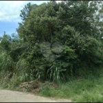 Terreno à venda em Serra da Cantareira, Mairiporã, SP