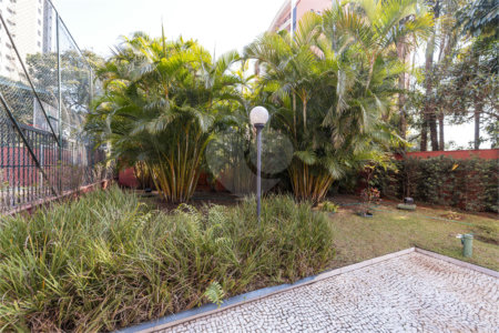Apartamento à venda com 3 quartos, sendo 1 suíte,  em Vila Mascote, São Paulo, SP