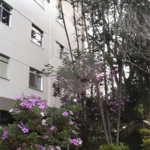 Apartamento á venda - Jabaquara