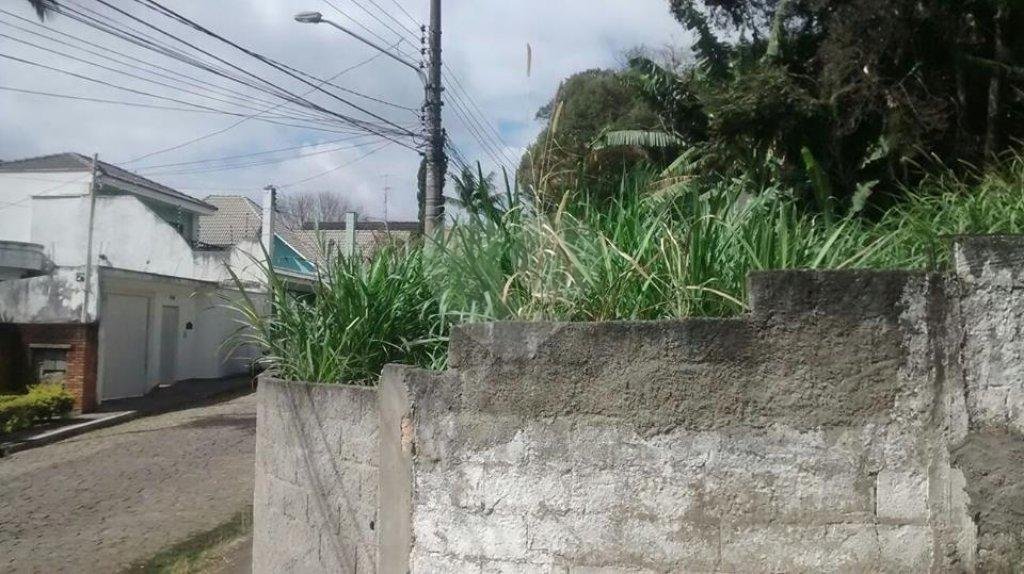 Terreno à venda em Horto Florestal, São Paulo, SP