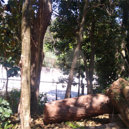 Terreno à venda em Vila Albertina, São Paulo, SP