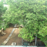 Casa à venda ou para alugar com 5 quartos, sendo 2 suítes,  em Jardim Europa, Sorocaba, SP