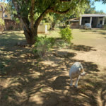 Chácara à venda com 3 quartos, sendo 1 suíte,  em Loteamento Aracê de Santo Antonio I, São Carlos, SP