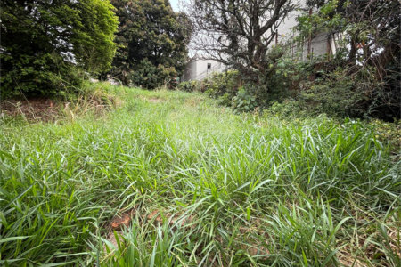 Terreno à venda em Santa Teresinha, São Paulo, SP