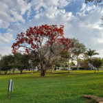 Casa à venda com 3 suítes em Medeiros, Jundiaí, SP