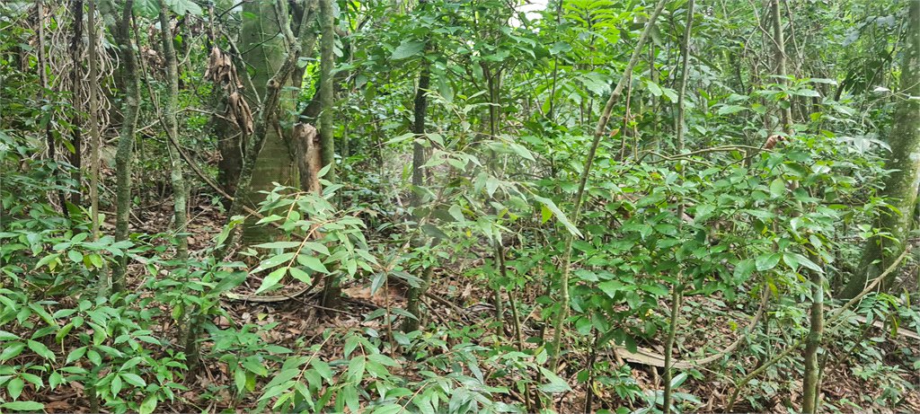 Terreno à venda em Caraguatá, Mairiporã, SP