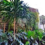 Apartamento à venda com 2 suítes em Cerqueira César, São Paulo, SP