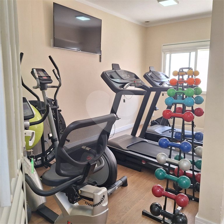 Apartamento à venda com 3 quartos, sendo 1 suíte, em Vila Paulicéia, São Paulo, SP