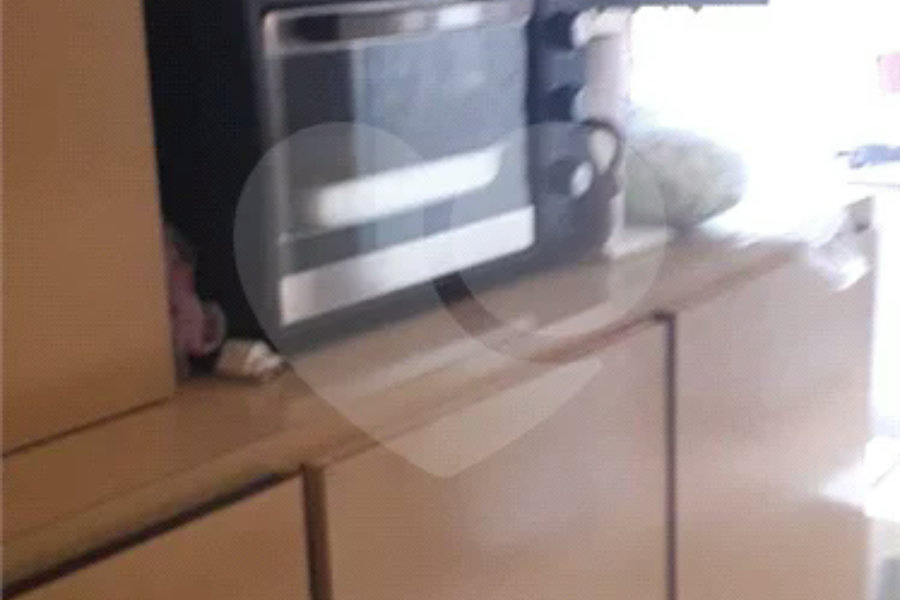 Apartamento à venda com 3 quartos em Jaçanã, São Paulo, SP