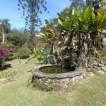 Chácara à venda com 4 quartos em Jardim Cardoso (mailasqui), São Roque, SP