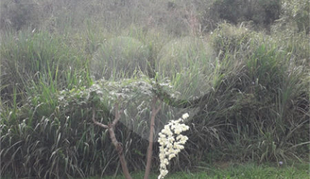 Terreno à venda no condomínio Alpes de Mairiporã, Mairiporã - SP
