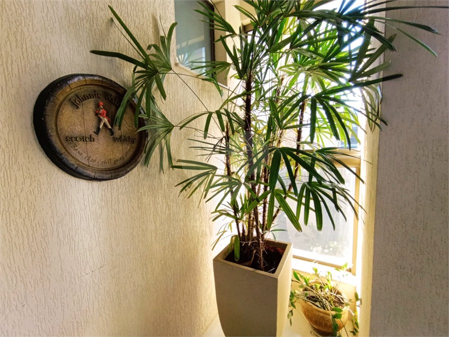 Apartamento Studio à venda Noblesse XV de Novembro São Carlos
