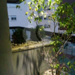 Apartamento à venda com 4 suítes em Jardim Leonor, São Paulo, SP