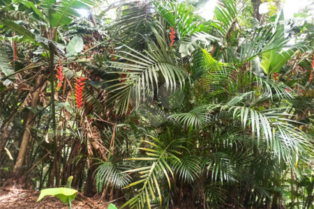 Sítio à venda com 13 quartos, sendo 4 suítes,  em Portão, Atibaia, SP