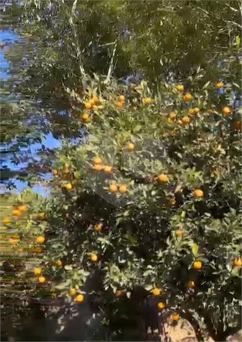 Chácara à venda com 3 quartos, sendo 1 suíte,  em Loteamento Jardim Nova Ibiúna, Ibiúna, SP