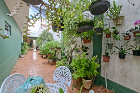 Casa à venda ou para alugar com 4 quartos, sendo 2 suítes, em Vila Mazzei, São Paulo, SP