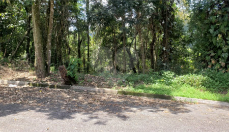 Terreno à venda em Serra da Cantareira, Mairiporã, SP
