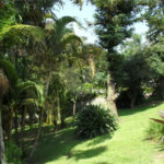 Casa Térrea à venda com 3 quartos, sendo 1 suíte, em Serra da Cantareira, Mairiporã, SP