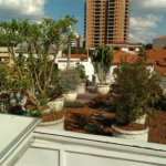 Casa à venda com 3 suítes em Jardim São Paulo(zona Norte), São Paulo, SP